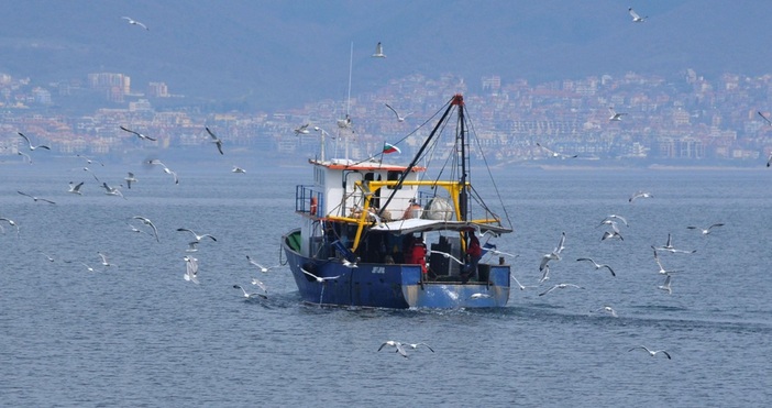 След рутинна проверка във Варненско езеро в района под Аспаруховия