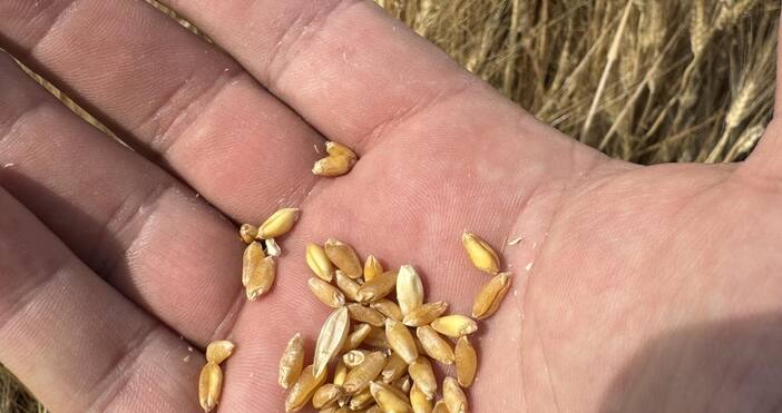 Български фермерски съюз настоява държавата да осигури подпомагане на земеделските