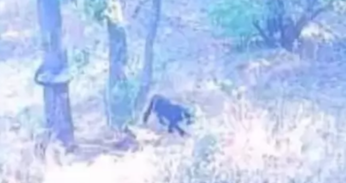 Временният кризисен щаб с предупреждение към гражданите да избягват посещения