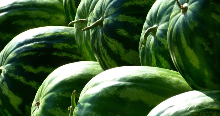 Един от най важните показатели за качеството на динята е цветът