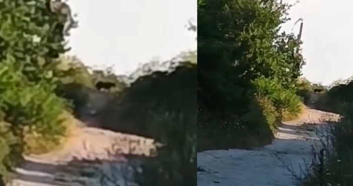 Заседание на Временния кризисен щаб за анализ на постъпили сигнали