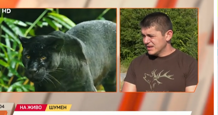 Екипи на горски служители ще претърсват и днес Шуменското плато