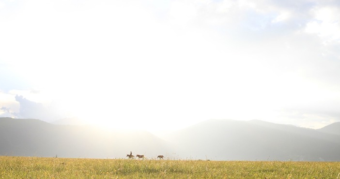 La Niña е студеният хладен етап на ENSO El Niño –