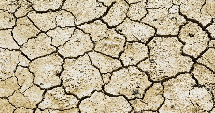 Между 21 и 26 юли температурите у нас ще достигнат