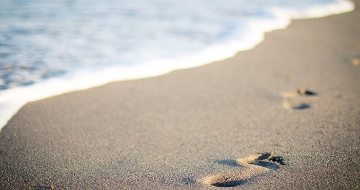 Здравни експерти от Турция предупреждават за наличието на опасните за