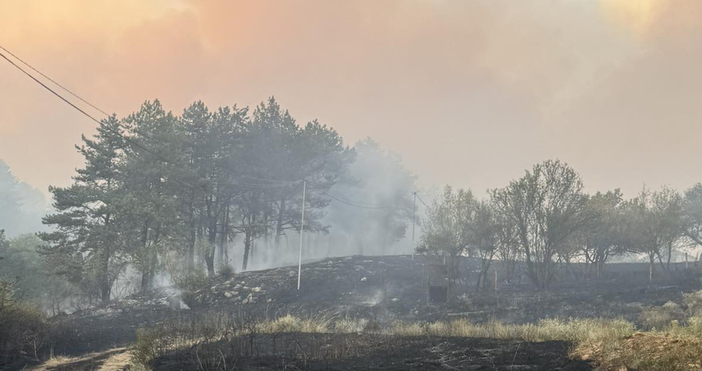 Огромен гаф допуснаха в новинарската емисия по бТВ В новините по