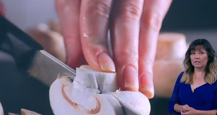 40 градусовите жеги ще продължат и през следващите дни Утре вече