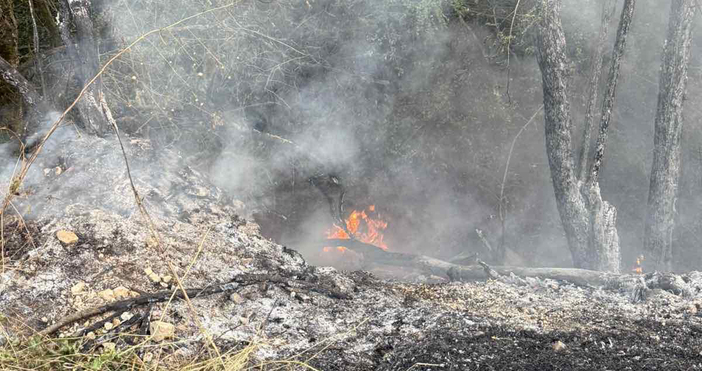 Снимки Фейсбук Д СпасовПожарът над костинбродското село Опицвет отново се