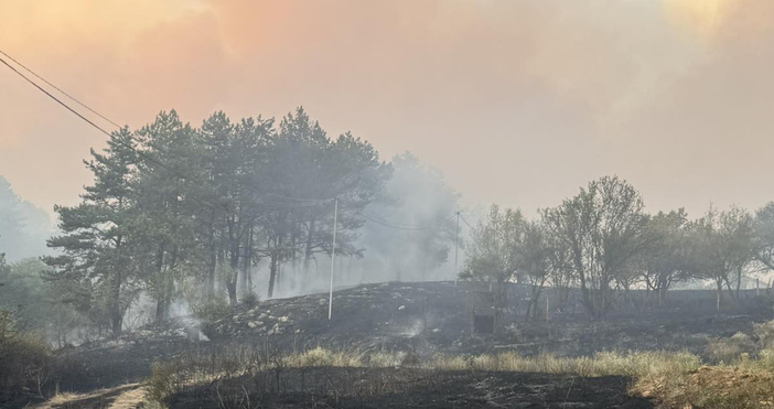 Няма опасност за онкоцентър за деца и за населени места