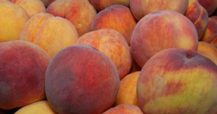 Всяка година в България се изхвърлят близо 90 килограма храна