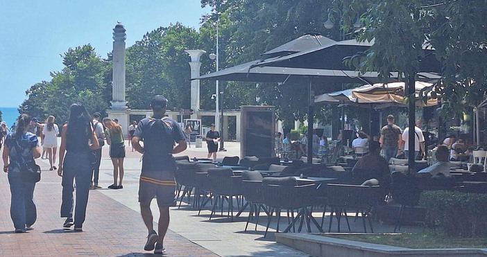 Четири специализирани екипа е сформирала администрацията на район Одесос за