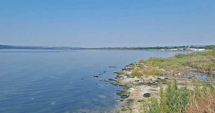 Организира се почистване на част от северния бряг на Варненското