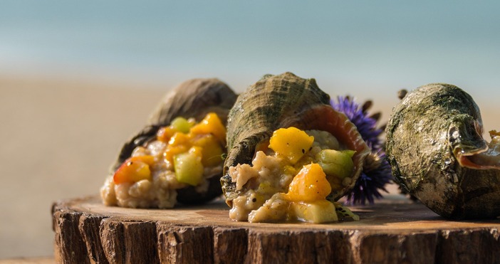 Несебърските рибари в протестна готовност заради риболовна забранаРибарите от Несебър са в