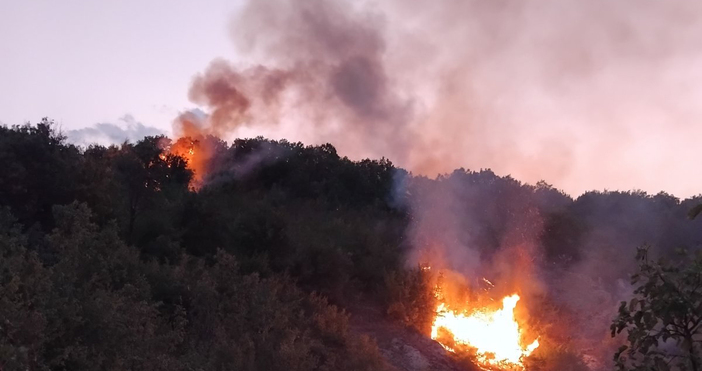 Снимки Тодор НалбантовПожар е избухнал днес около 15 ч в