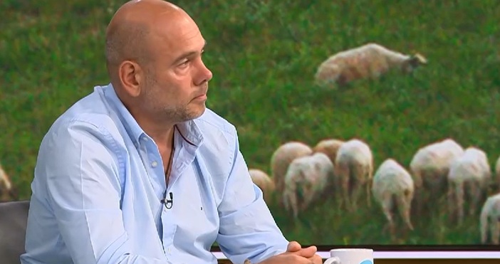 Шарката по овцете и козите не е от сега а