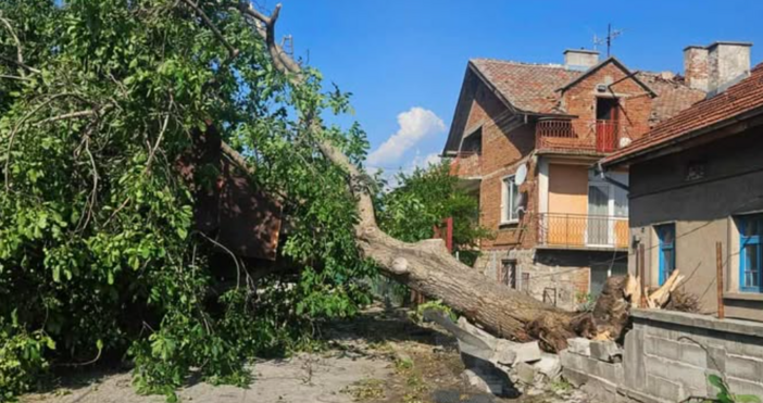Ураганен вятър помете село Дъбравите частично бедствено положение и мащабни