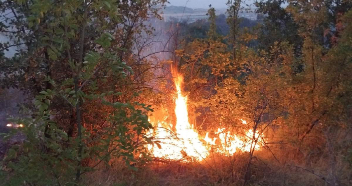 По информация от пожарната има спешна нужда от доброволци за