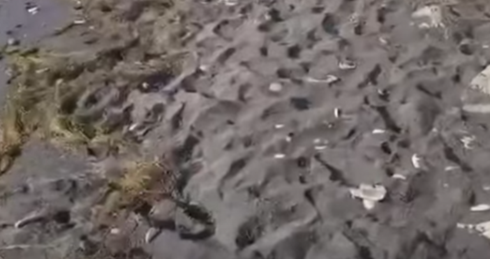 Не това не е нефтена мръсотия а безценни магнитни минерали