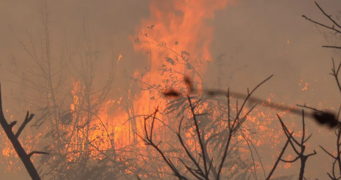 Критична ситуация около наш град Пожар избухна в трънските села Рани