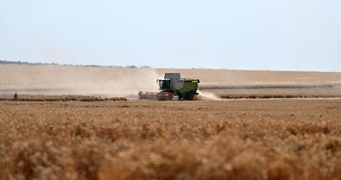 Оптимистичните прогнози на експертите за световното производство на пшеница и