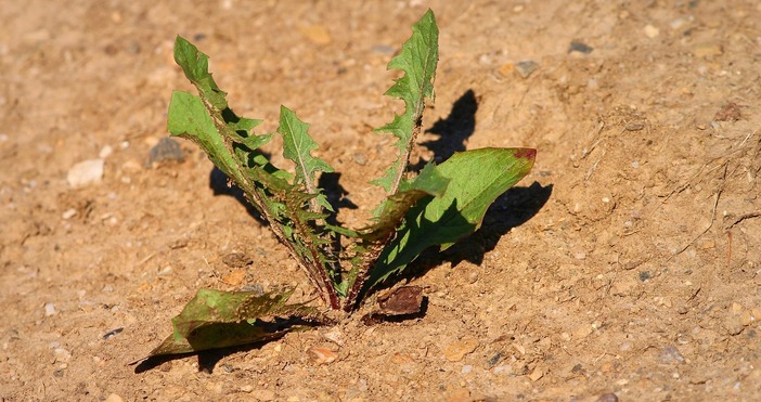 Истински температурен ад обхвана съседна Турция като метеоролозите предупреждават че