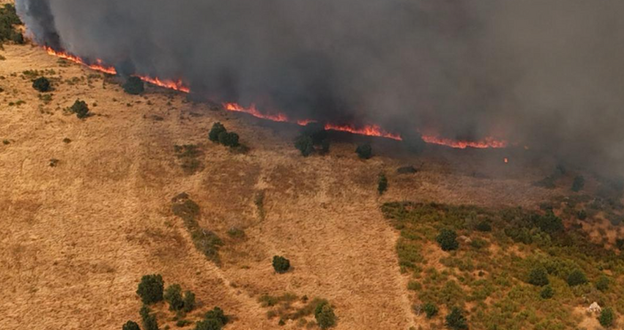 Пожарът който избухна вчера в землището на пограничното село Лесово