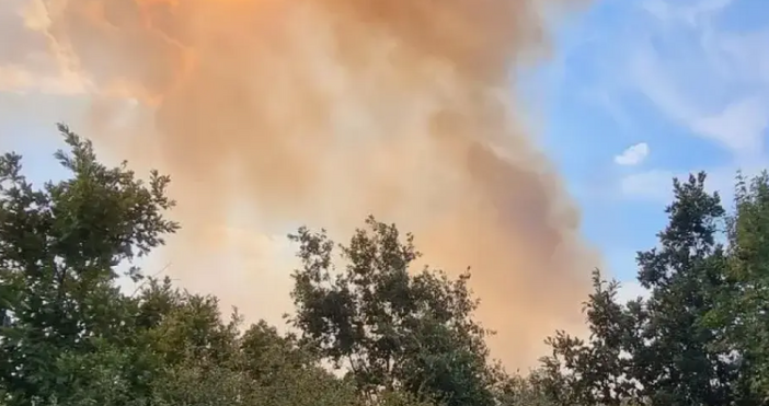 Огънят не само че не спира но нанася и огромни