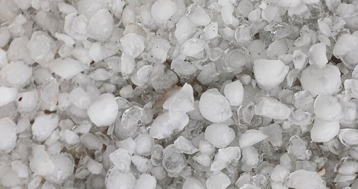 Градушка с размер 4 mm в Борован и Галиче Врачанско