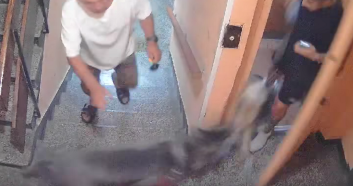 Пореден пример за безотговорност Въпреки че е абсолютно забранено възрастен човек