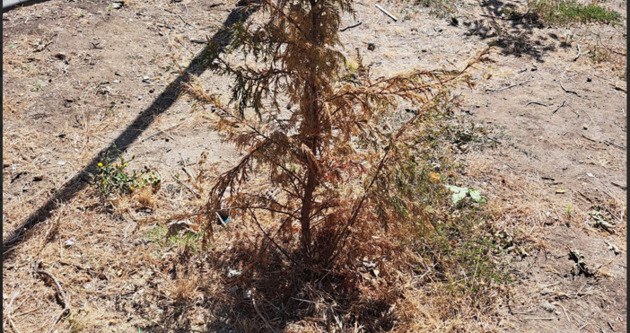 Ето как се разпиляват нашите пари от Община Варна и