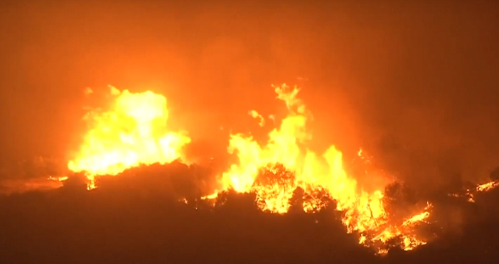 Турция се бори с мащабни горски пожари които принудиха над