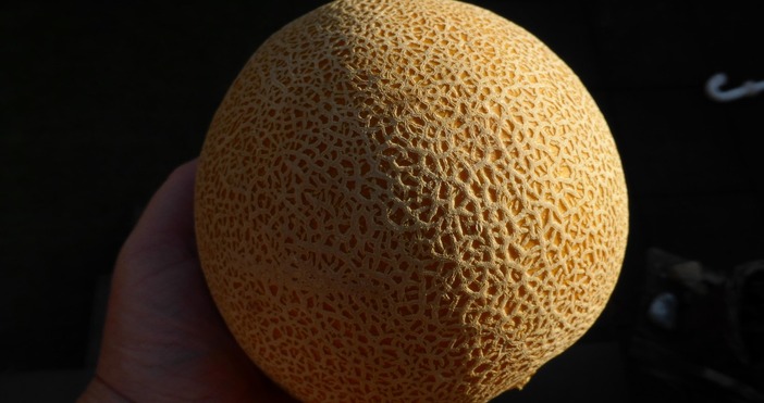 Когато лятото настъпи с пълна сила един плод неизменно се