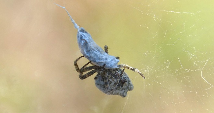 Ето хороскопа на Ламята за понеделникОвенКакто обикновено независимо от избраната