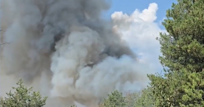 Тежка остава ситуацията с пожара край село Илинденци Община Струмяни