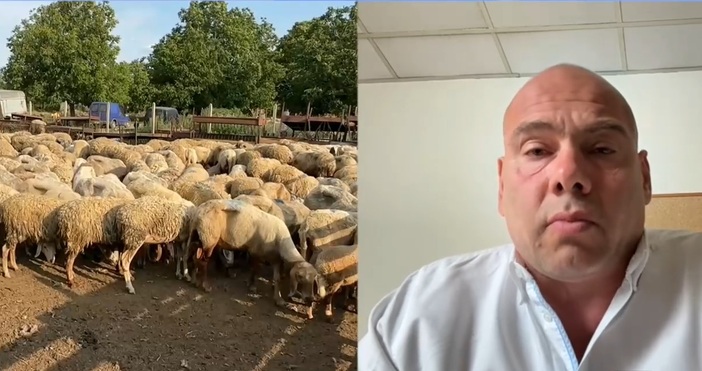 Нови огнища на шарка при животните бяха открити у нас