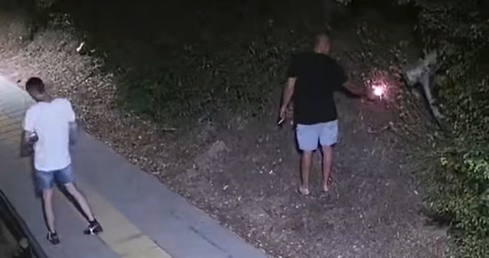 стоп кадър Фейсбук Д ПановСъдят за тероризъм двамата задържани за