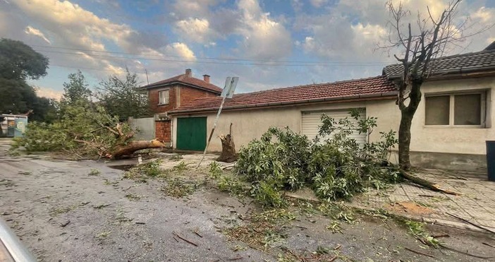 Страшна буря помля Раковски Има много паднали дървета и електрически стълбове Никой
