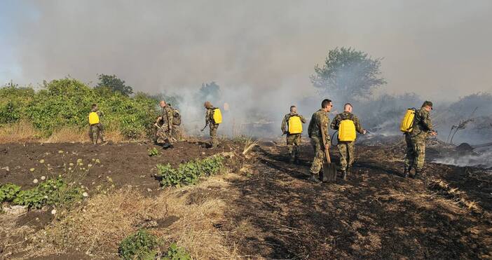 Министерство на земеделието и храните МЗХ информира отново че при