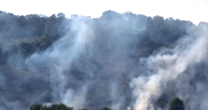 Мая Иванова Кадри Нова ТВ167 пожари са изгасени за денонощие