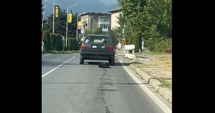 стоп кадър ФейсбукПоредно скандално видео се появи във фейсбук