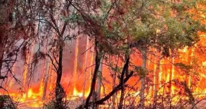 Във връзка с пожароопасния сезон в момента и в стремеж