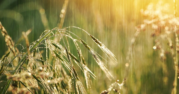 През нощта валежите в страната ще спират но на места