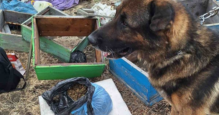 Близо килограм сух канабис е намерен и иззет в карнобатско