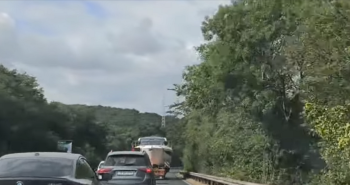Изключително рядка гледка изненада шофьорите по пътя от Атия към