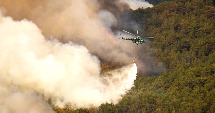 Няма активни огнища на пожара в Пирин тази сутрин Късно