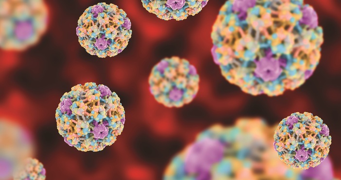 Ракът е сложно заболяване което може да възникне в почти