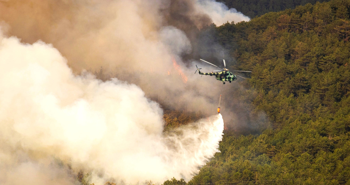 Отново пламъци в Пирин след като пожарът беше локализиран и