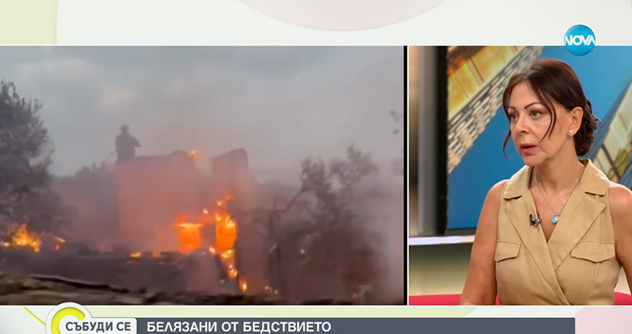 Има психологически профил на хората които палят пожари 90 95 те