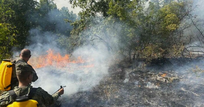 Започва описването на щетите от пожара в трънското село Рани