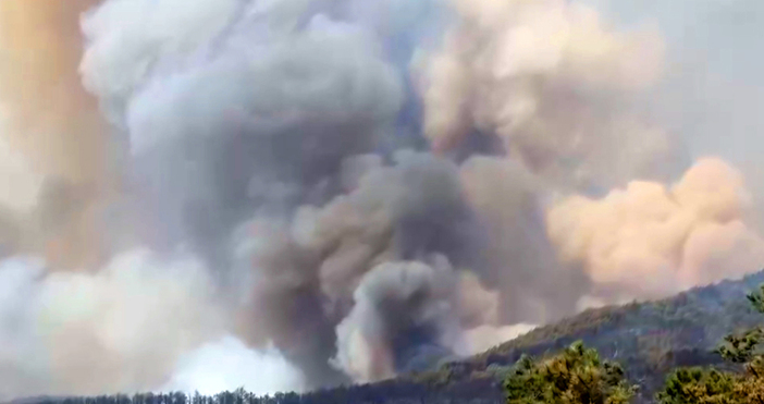 Загасени са огнищата от пожара в Пирин които вчера се